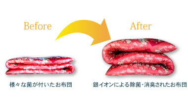 気になる臭いの原因