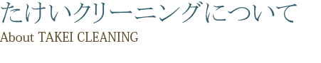 たけいクリーニングについて